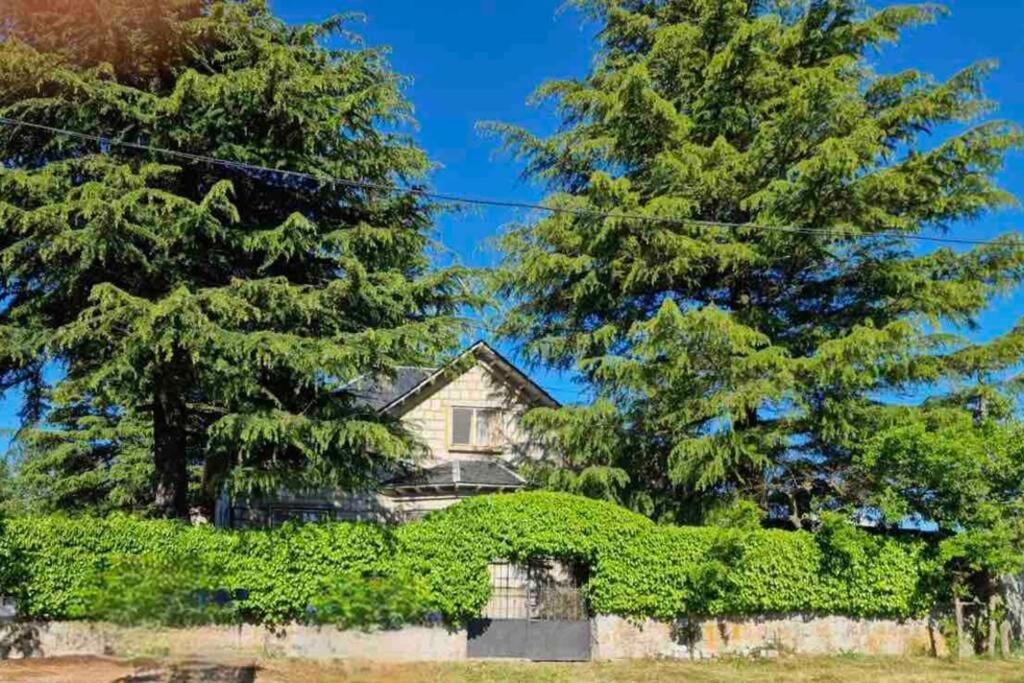 Casa Rural Braulio Herradon de Pinares Extérieur photo