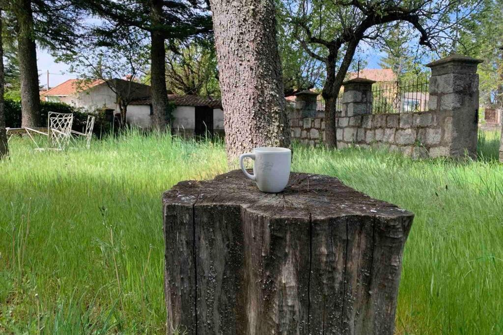 Casa Rural Braulio Herradon de Pinares Extérieur photo